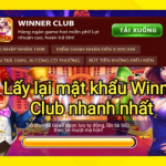 Winner Club bị lỗi đăng nhập phải làm sao? Cách khắc phục nhanh 2026