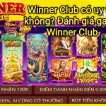 Winner Club có lừa đảo không? Sự thật về Winner Club 2026