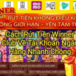 CSKH Winner Club – Liên Hệ Hỗ Trợ 24/7 Chính Thức